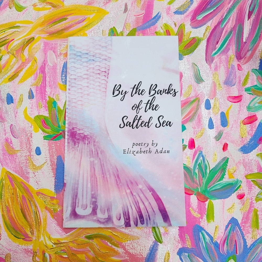 🆕️Signed Poetry Book - By the Banks of the Salted Sea